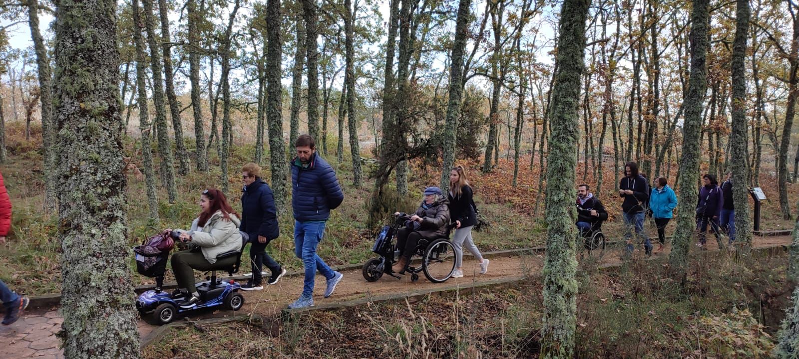 Silla de ruedas eléctricas, scooter y handbikes durante una actividad al aire libre.